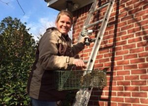 Megan getting a squirrel from a customer's roof